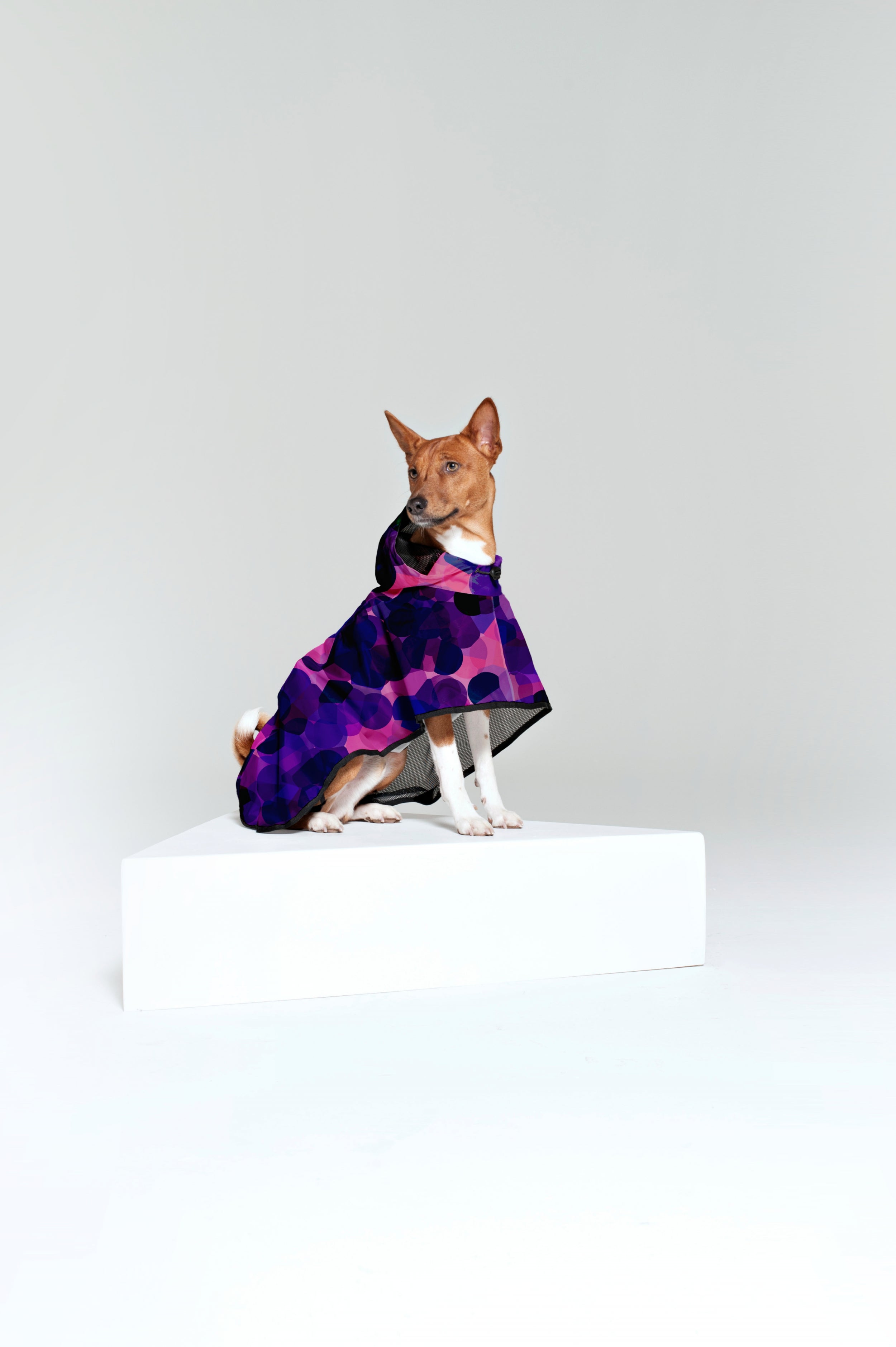 Rainkiss Rain Ponchos